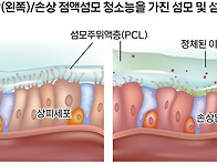 온·습도 관리부터 실내 ..
