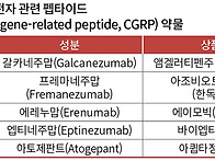 일부 항우울제 편두통 예방..