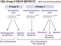 오메가-3, 눈물막 염증 관..
