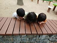 7월첫째주 베짱이 숲체험 ..