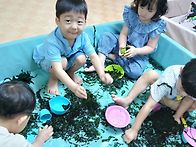 7월의 오감놀이. 미역으로..