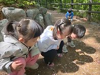 4월4주 별님이들 이야기