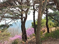 원적산 천덕봉(이천)