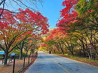 161차 내장산