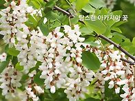 안산자락길