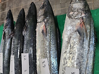 금요일 할인판매