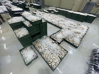 11월3일(월).5물때.17척..