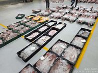 4월15일(수),4물때.10척..