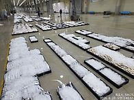 8월28일(금).7물때.31척..
