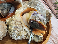 4월 17일. 활주꾸미,풀도..