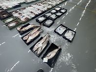 5월26일(화).1물때.6척 ..