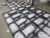 7월2일(목).9물때.43척 ..