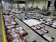 4월28일.7물때.39척 어선..