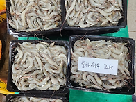 4월17일.참돔,삼치,황가오..