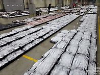 12월12일(금)ㆍ조금물때...