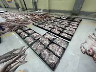 4월14일(화).3물때.3척 ..