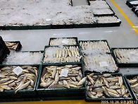 10월28일(화),조금물때.3..