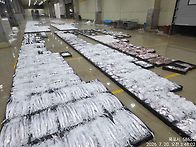7월20일(월).대객기물때...