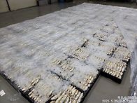 5월29일.9물때(참돔, 병..