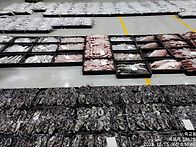 12월15일(월).2물때.15..