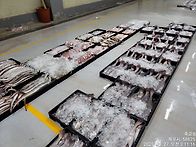 10월27일(월).대객기물때...