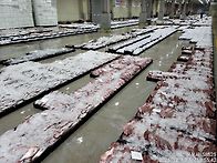 12월10일(수).한객기물때...