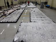 12월8일(월).10물때. 3..