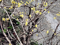 [한국보육진흥원 명칭 변경..