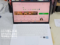 LG그램 14Z980-GA56K..