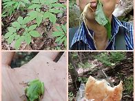 민초산행