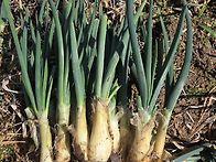 저렴한가격에 모든상품 판..