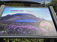 제주도 한라산 등산