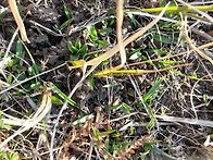 🍒바람개비와 ..