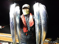 11월4일 갈치대박쿨러조황~씨알굿굿~갈치많..