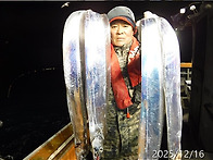 12월16일 갈치,한치쿨러조황입니다.오늘자리..