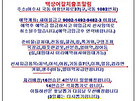 11월24일 씨알좋은갈치쿨러조황^^010-9..