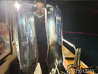 12월20일 갈치쿨러조황~기상이좋아지는월요..