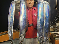 8월24일 갈치쿨러조황~오늘자리여유있습니다..