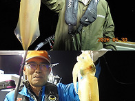 5월31일 갈치,한치쿨러조황~오늘정상출조합..