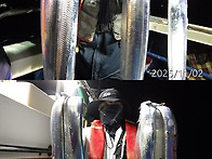 11월2일 갈치초대박쿨러조황^^씨알굿굿굿~..