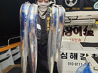 8월2일 씨알좋은갈치쿨러조황~굿굿~4일부터..