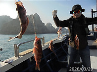 3월29일 한치,열기쿨러조황~예약문의는01..