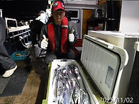 11월2일 갈치초대박쿨러조황^^씨알굿굿굿~..