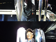 9월18일 씨알좋은갈치쿨러조황~내일자리여유..