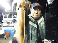 6월1일 갈치,한치쿨러조황~씨알굿~3일(수요..