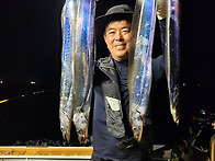 8월4일 갈치대박쿨러조황~씨알굿~오늘자리여..