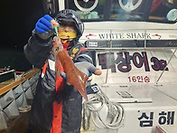 7월4일 한치초대박쿨러조황~3자리수까지~오..