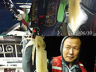 6월30일 갈치,한치쿨러조황~씨알굿~대박^^..