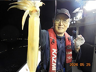 5월25일 갈치,한치쿨러조황~한치최대세자리..