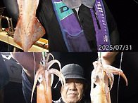 7월31일 마지막한치쿨러조황~~갈치조업다녀..